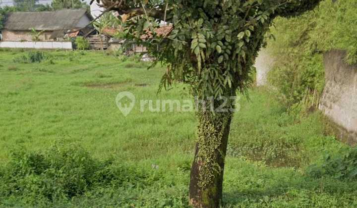 Tanah 4287 m2 Sadang, Purwakarta SHM