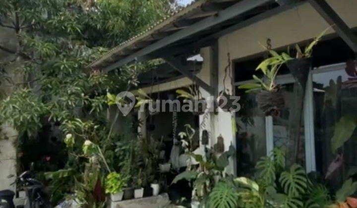 Di Jual Rumah Lokasi Stategis Pusat Kota Pajajaran Di Jual Rumah Lokasi Stategis Pusat Kota Pajajaran