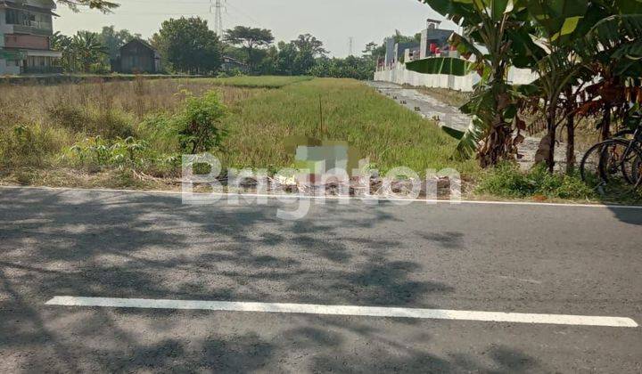 Tanah Luas Di Buntalan Klaten Tengah 2