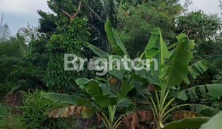 STRATEGIC LAND IN THE BOGOR REGION STRATEGIC LAND IN THE BOGOR REGION