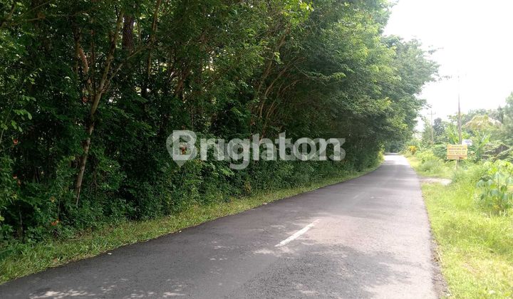 Sangat Murah, Dijual Tanah Strategis Di Jalan Goa Kiskendo Kulon Progo 