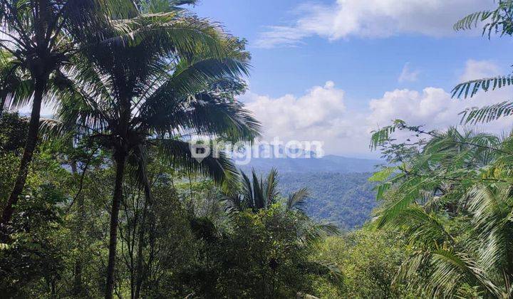 TANAH DEKAT TUMPENG MENOREH, SELATAN PUNCAK WIDOSARI, KEBUN TEH NGLINGGO 1