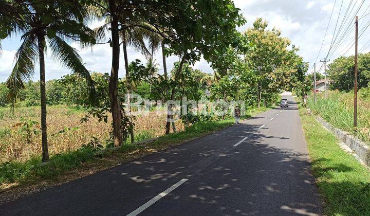 BU  CEPAT TANAH PINGGIR JALAN PRACIMANTORO - WONOSARI 1