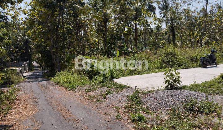 TANAH KAPLING MURAH SELATAN POLRES WATES KULON PROGO 2