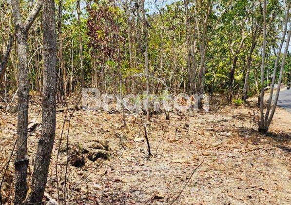 TANAH MURAH SELATAN STASIUN KENDUNDANG WATES, 15 MENIT BANDARA YIA 2