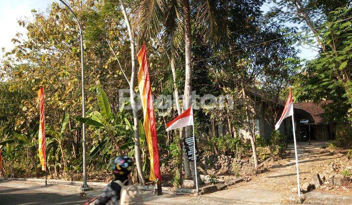 MURAH TANAH PEKARANGAN PINGGIR JALAN KOTA WONOSARI GUNUNGKIDUL 1