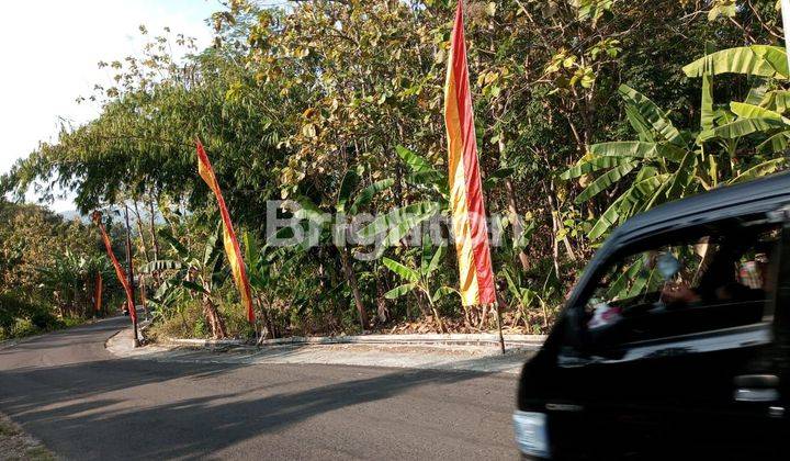 MURAH TANAH PEKARANGAN PINGGIR JALAN KOTA WONOSARI GUNUNGKIDUL 2