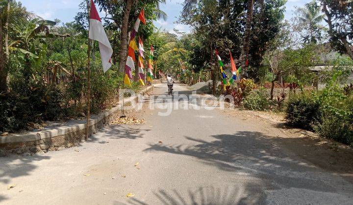 TANAH LUAS MURAH STRATEGIS TINGGAL SATU KAVLING, JALUR WISATA KULON PROGO 2