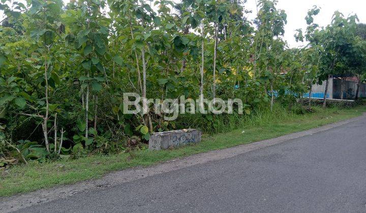 TANAH PEKARANGAN ZONA INDUSTRI PAJANGAN BANTUL 2