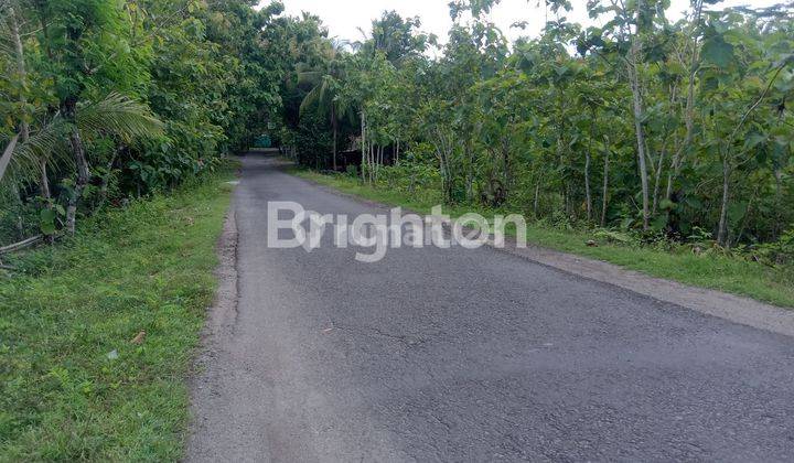 TANAH PEKARANGAN ZONA INDUSTRI PAJANGAN BANTUL 1