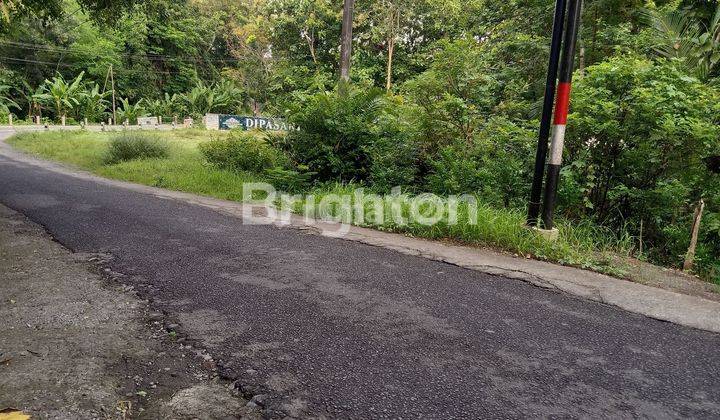 MURAH, MURAH, TANAH PEKARANGAN MANGKU JALAN ASPAL LEBAR, AKSES KONTAINER 1