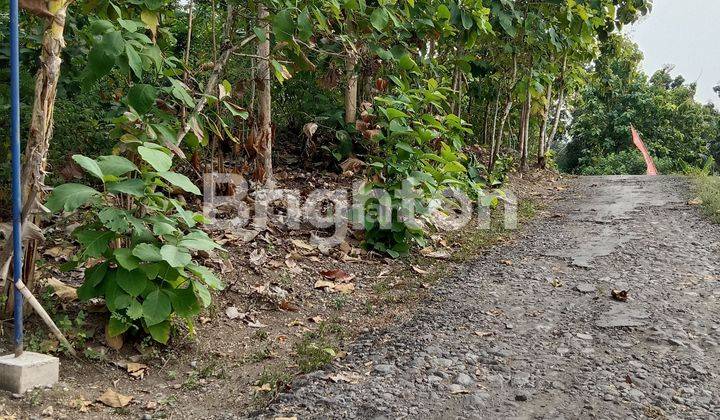 TANAH PEKARANGAN DI KAWASAN BERKEMBANG SEDAYU 1