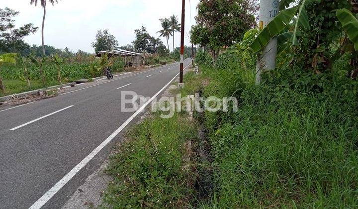 SANGAT MURAH, KAN TANAH PINGGIR JALAN RAYA CANDIBINANGUN PAKEM, BELAKANG KAMPUS UII KALIURANG 1