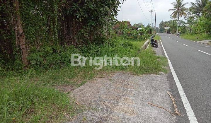 SANGAT MURAH, KAN TANAH PINGGIR JALAN RAYA CANDIBINANGUN PAKEM, BELAKANG KAMPUS UII KALIURANG 2