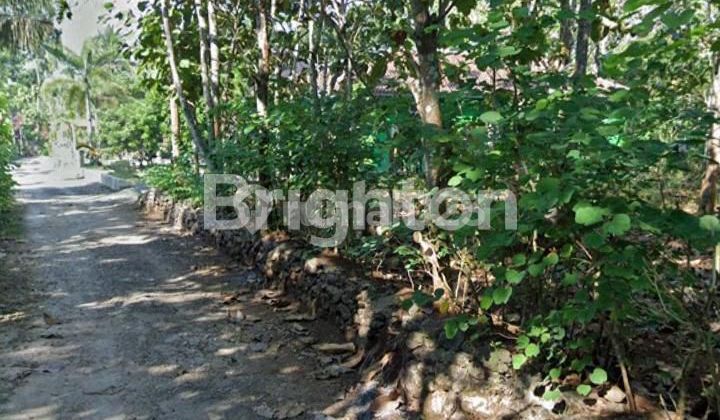 Tanah di Playen Gunungkidul, Bentuk Persegi, Investasi Menjanjikan! Tanah di Playen Gunungkidul, Bentuk Persegi, Investasi Menjanjikan!