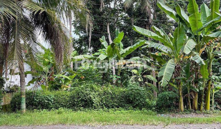 Disewakan Tanah Pekarangan Strategis di Pinggir Jalan Raya Pengasih Kulon progo  1