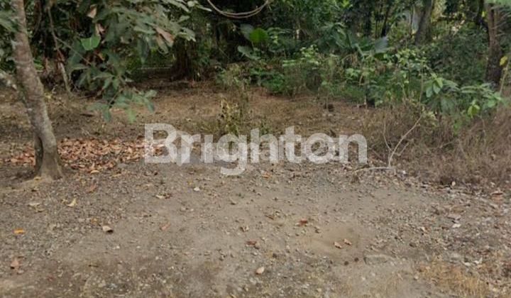 Tanah Luas 124 m² di Sleman, Cocok Hunian atau Investasi Tanah Luas 124 m² di Sleman, Cocok Hunian atau Investasi