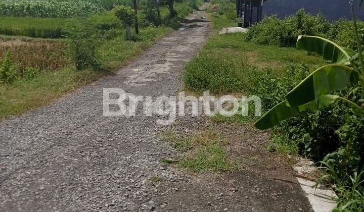 Tanah Dijual Pinggir Jalan di Pengasih, Dekat Kota Wates dan Bandara YIA Tanah Dijual Pinggir Jalan di Pengasih, Dekat Kota Wates dan Bandara YIA