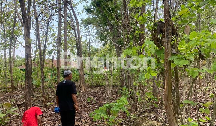 Tanah di Playen Gunungkidul, Bentuk Persegi, Investasi Menjanjikan!