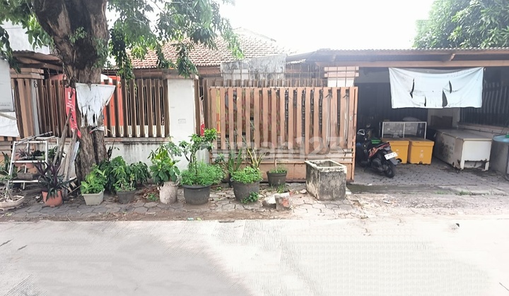 Rumah Di Semarang Utara Bebas Banjir 2