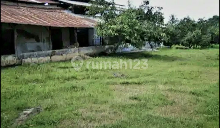 Tanah Siap Pakai Di Jepara Tanah Siap Pakai Di Jepara