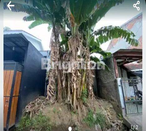 RUMAH HANYA  TANAH SAJA LOKASI CITRA INDAH CITY  JONGGOL 1