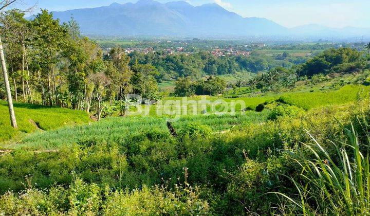 Tanah  Seluas 2ha Lokasi Garut Cocok Buat Pertanian 2