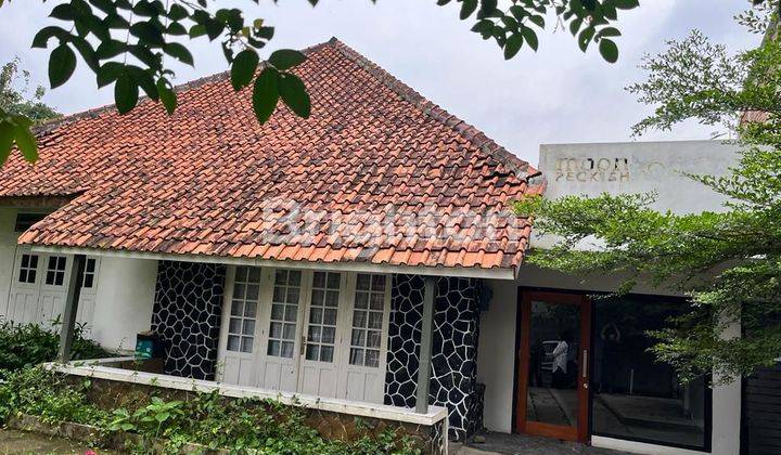 RUMAH KLASIK DENGAN SUASANA YANG ASRI DAN LOKASI STRATEGIS 1