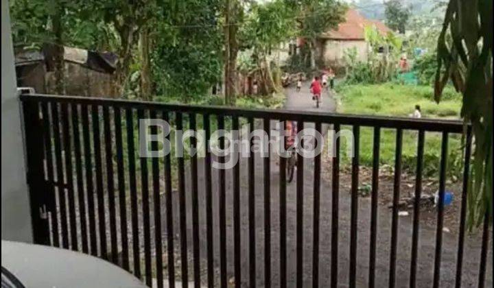 Rumah Mungil Murah Lansung Siap Huni Di Ciomas Bogor 2