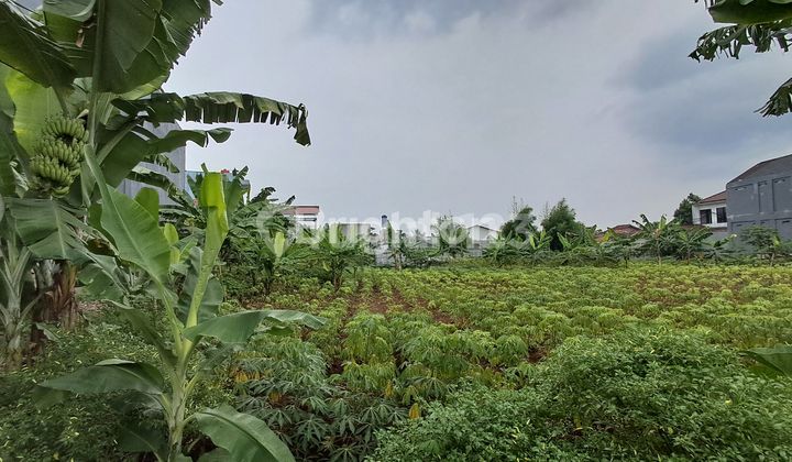 TANAH DIBAWAH PASARAN LOKASI SANGAT STRATEGIS CILENDEK BOGOR