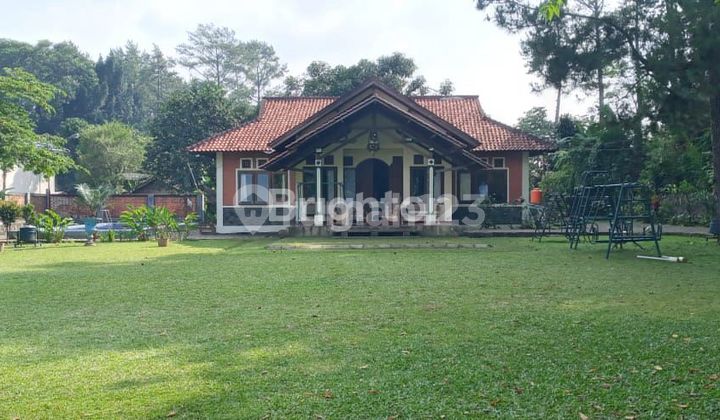 Dijual Cepat Villa Luas Terawat Sangat Produktif di Megamendung