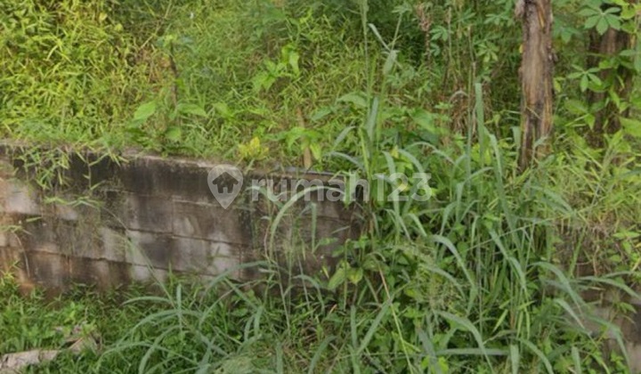 Tanah Siap Bangun 160m2 Shm.di Tajur Halang Tanah Siap Bangun 160m2 Shm.di Tajur Halang