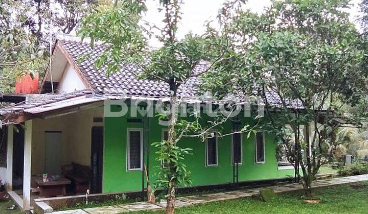 JUAL TANAH BONUS RUMAH DI CIJERUK BOGOR  2