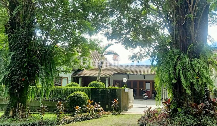 RUMAH KLASIK, LUAS DAN ASRI LOKASI TAMAN KENCANA 1