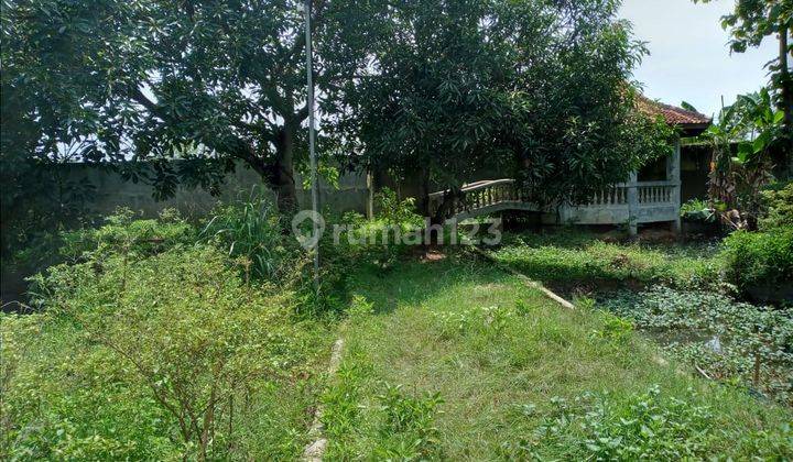 Tanah di Tangerang Barat , Kecamatan Cisoka ,cangkudu, Tangerang 2.439 m² 1