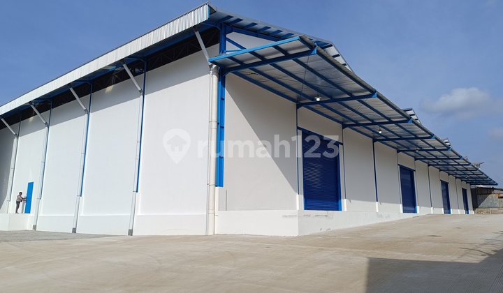 For Rent: Large New Warehouse in Kapuk - Teluk Gong Logistics Area