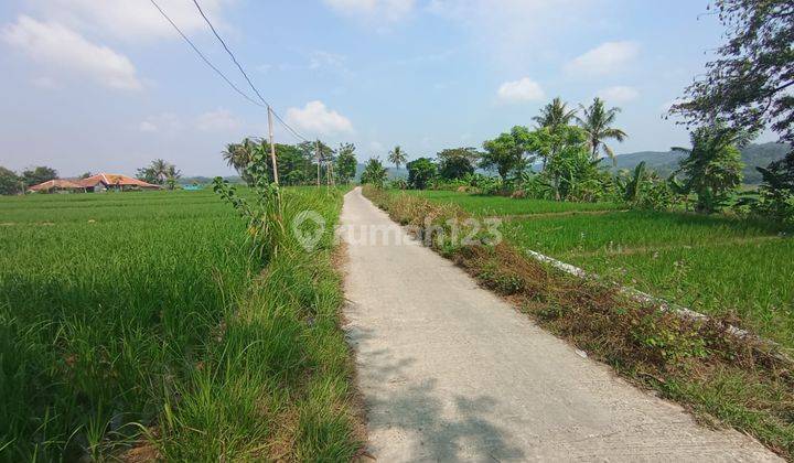 Tanah di Desa Sukagalih, Bogor Sertifikat Hak Milik 6 ha 1