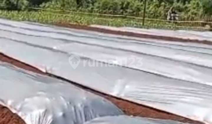 For Sale Flat Land Mountain View Mount Munara & Mount Eusing