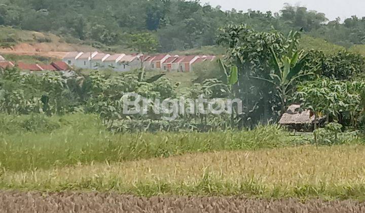 TANAH DATAR COCOK BANGUN PERUMAHAN 2