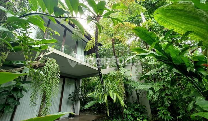 Luxury House in Ngaglik, Yogyakarta. Fully Furnished 1
