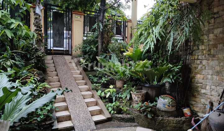 Strategic House Near University in Bogor 2