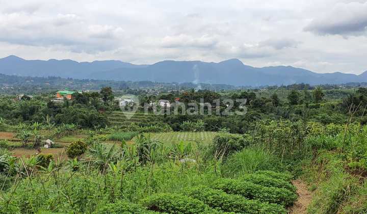Tanah Strategis Di Mega Mendung Bogor Cocok Untuk Villa, Perkebunan Dan Camping Tanah Strategis Di Mega Mendung Bogor Cocok Untuk Villa, Perkebunan Dan Camping