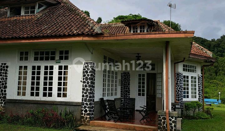 Strategic Villa in Puncak Bogor in Cipanas Strategic Villa in Puncak Bogor in Cipanas