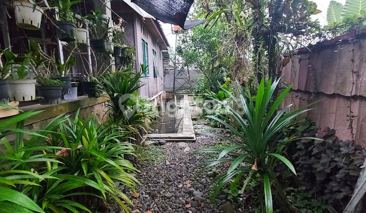 PRICE DROP ‼️ PEACEFUL, SERENE, AND COOL VILLA 2