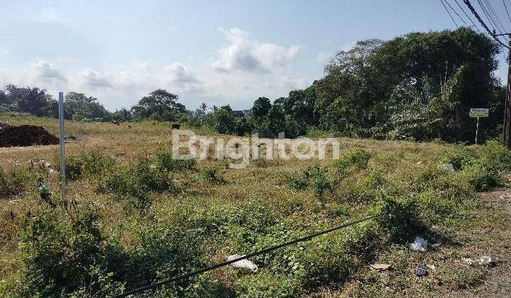 RARE AND SPACIOUS LAND BESIDE THE MAIN ROAD 2