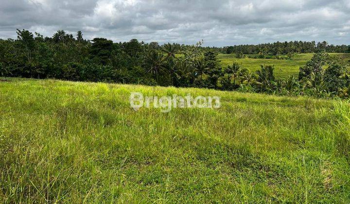 Tanah Sawah Luas Dengan View Indah Di Bajera Tabanan Bali 1