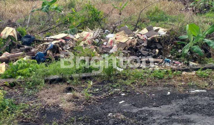 TANAH DEKAT PANTAI SABA GIANYAR 1