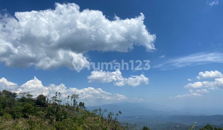 Tanah Luas Di Tamblingan Bedugul