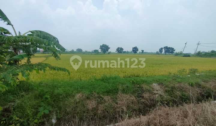 1022.126s Aset Lelang Gresik Di Balongpanggang Di Tanah Utama Dusun Prambon