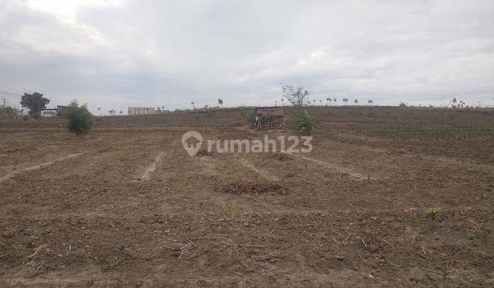 Aset Lelang Gresik Di Driyorejo Di Tanah Raya Mojosarirejo 2